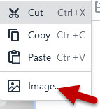 Red arrow points to the image option in the Bb image menu