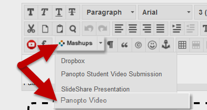 Panopto Video Option in Mashups