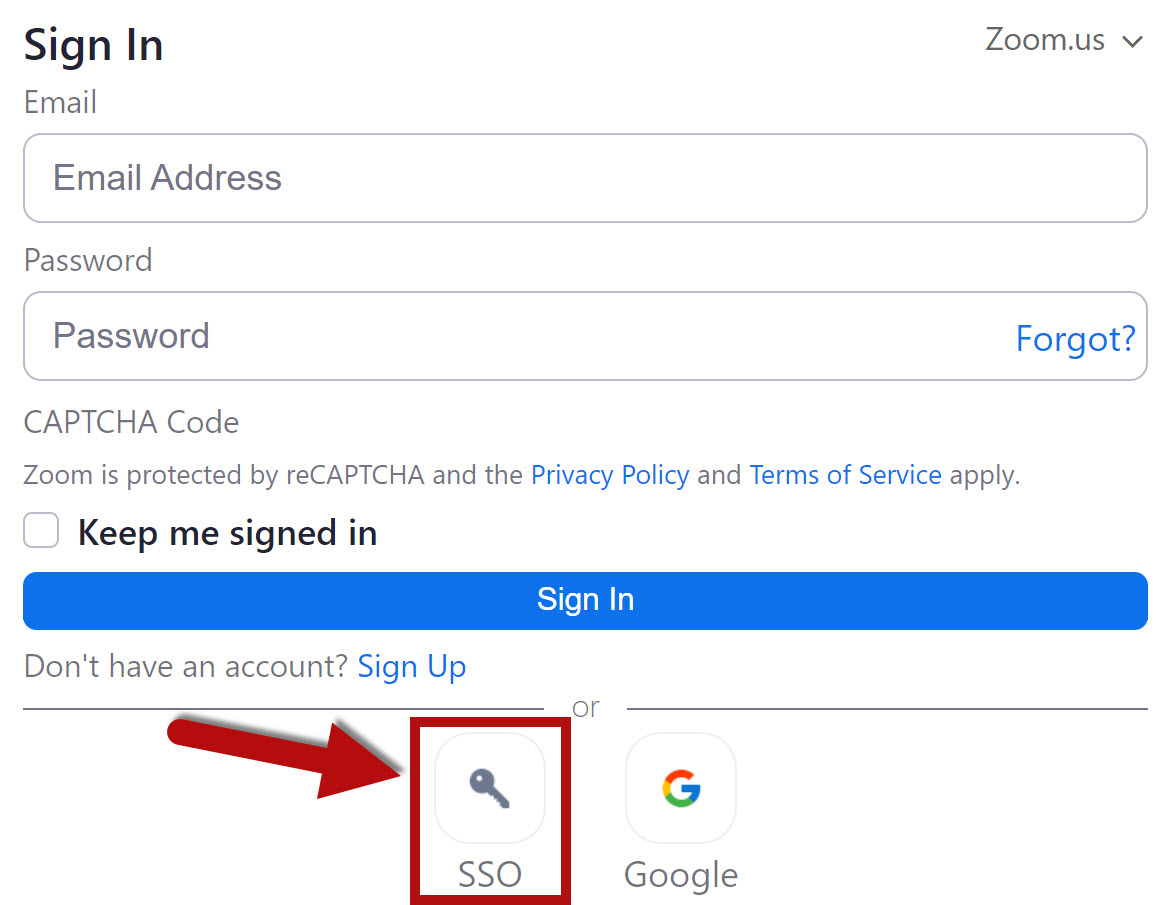Use Single Sign-On or SSO option to sign into Zoom