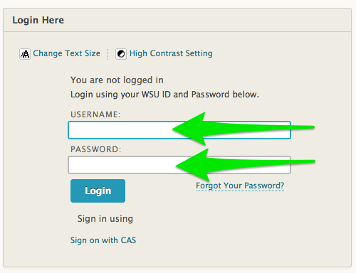 Login Here Block from Blackboard Home page.