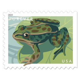 image of frog postage stamp