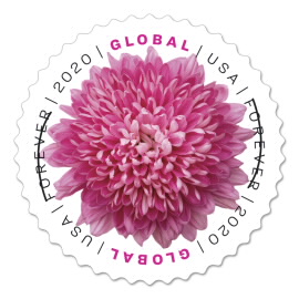 Chrysanthemum international postage stamp