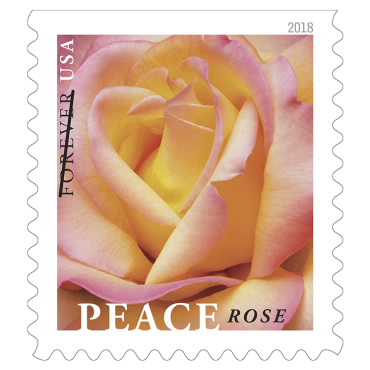 image of peace rose stamp