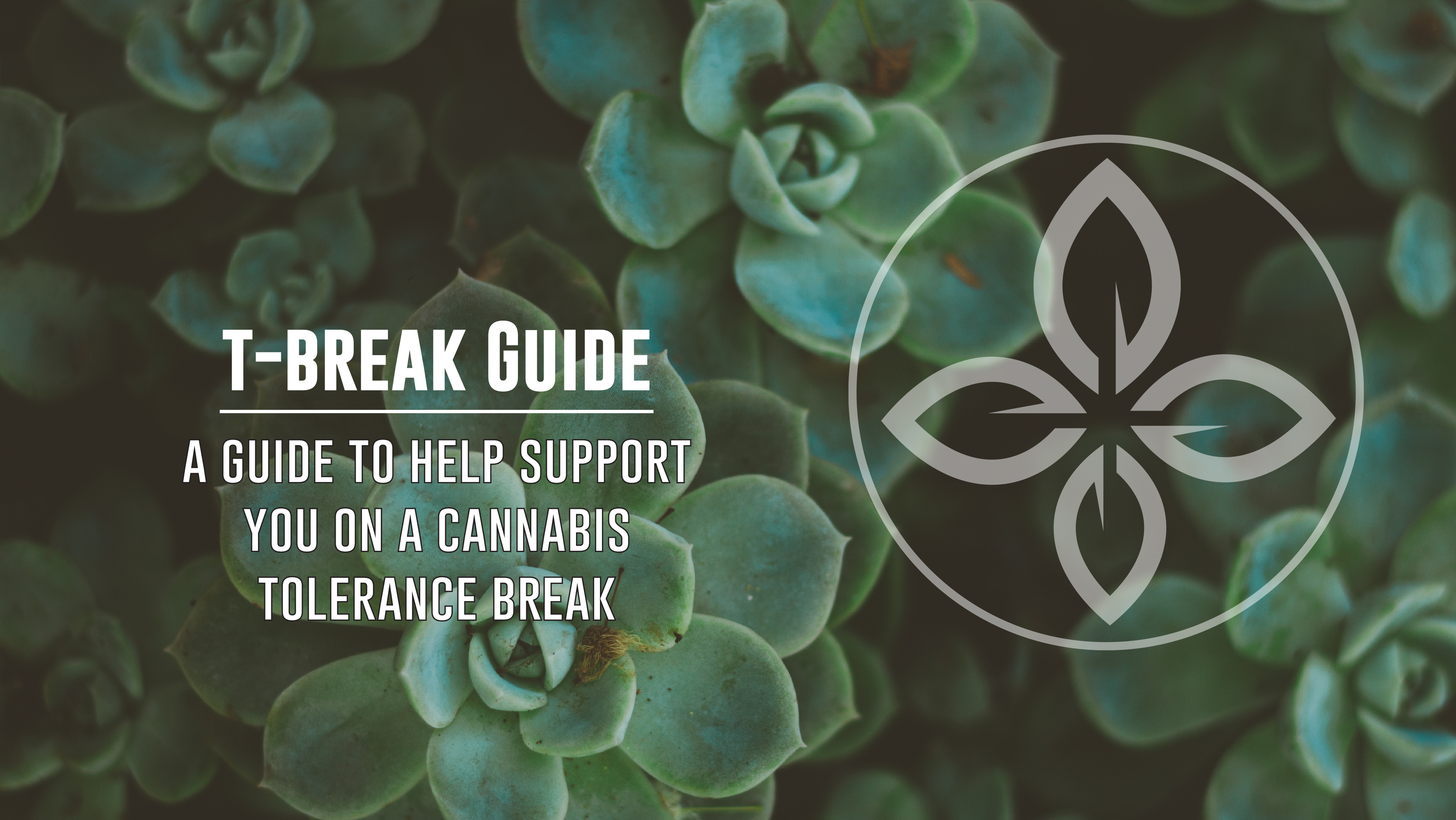 t_break_guide_image