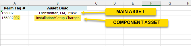 Main Asset and Component Asset Image of spreadsheet indicating main and component assets