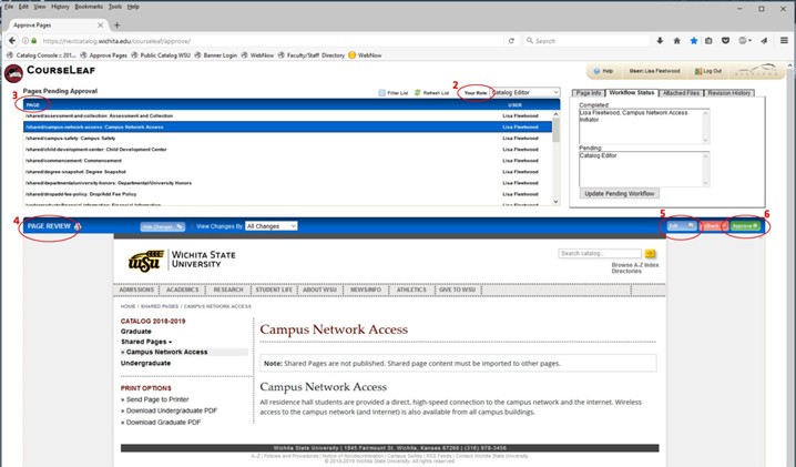 A computer image of the Approve Pages screen.