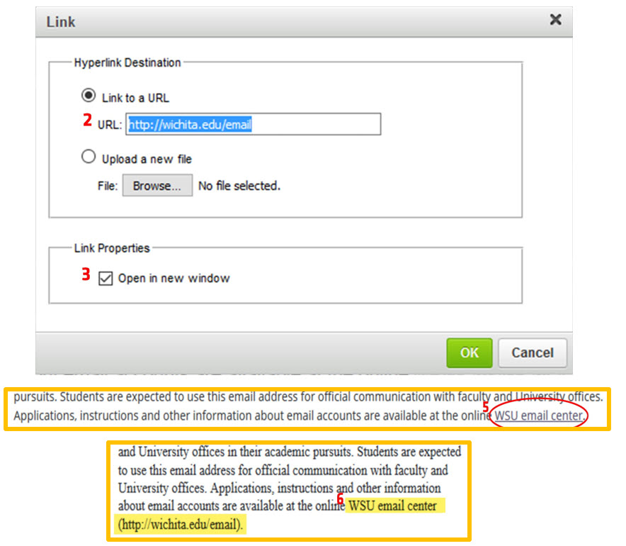 A computer image showing the link settings and how links look within a PDF.