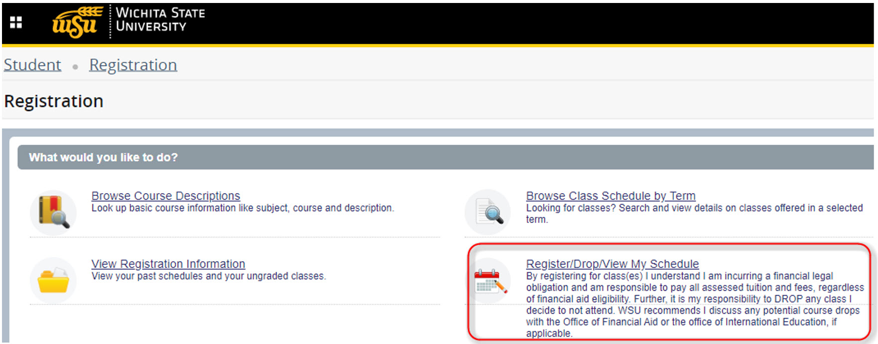 computer image with link circled