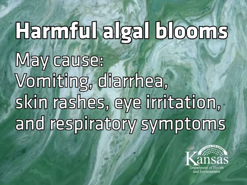 Close up of algal bloom. Image text says: Harmful algal blooms May cause: Vomiting, diarrhea, skin rashes, eye irritation, and respiratory symptoms