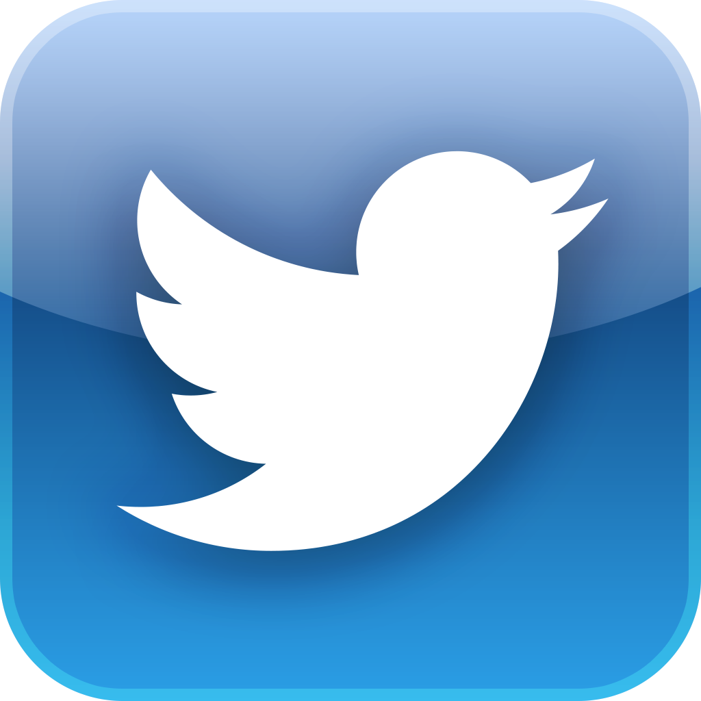 Twitter logo button. 