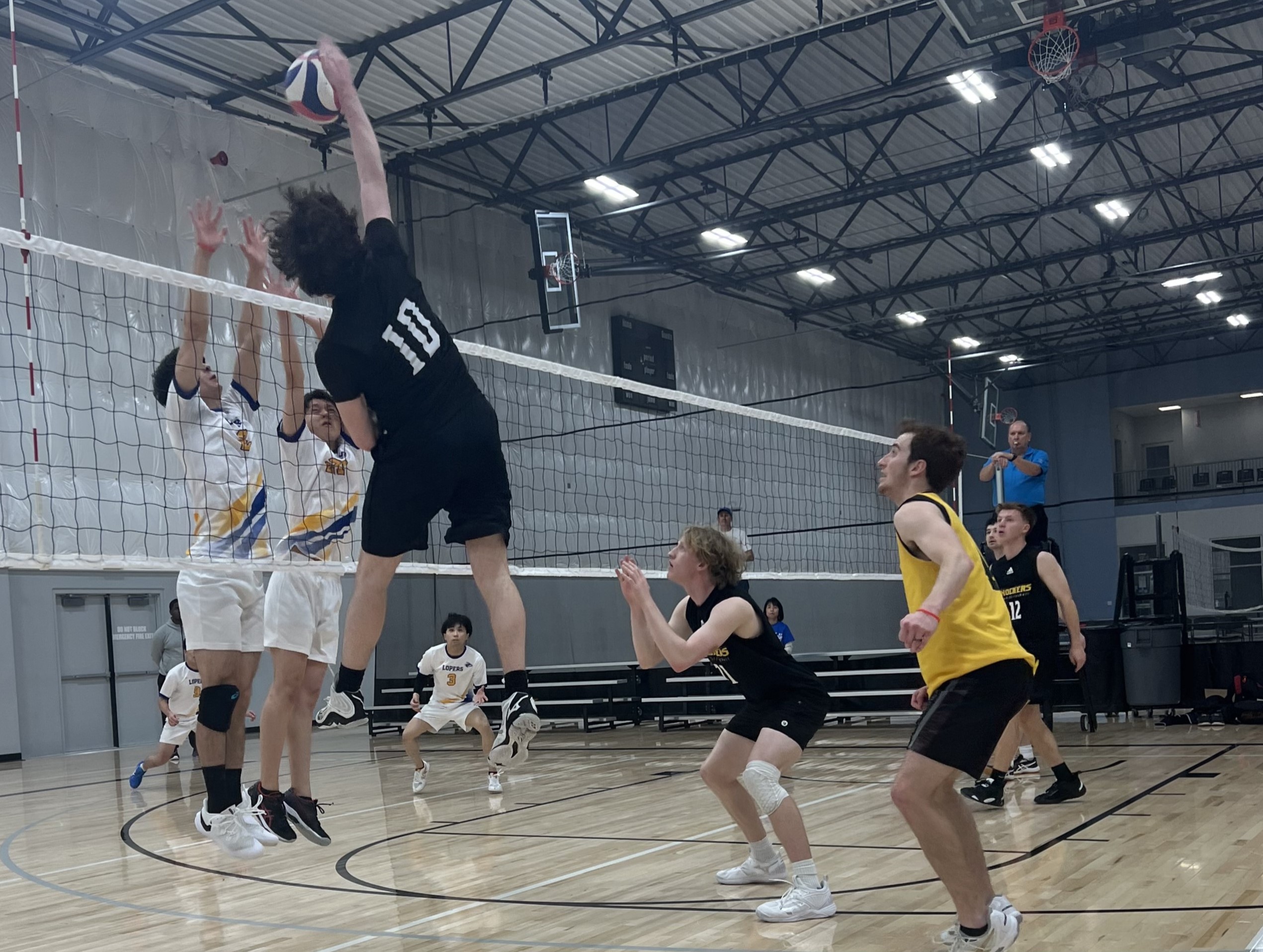 mens volleyball